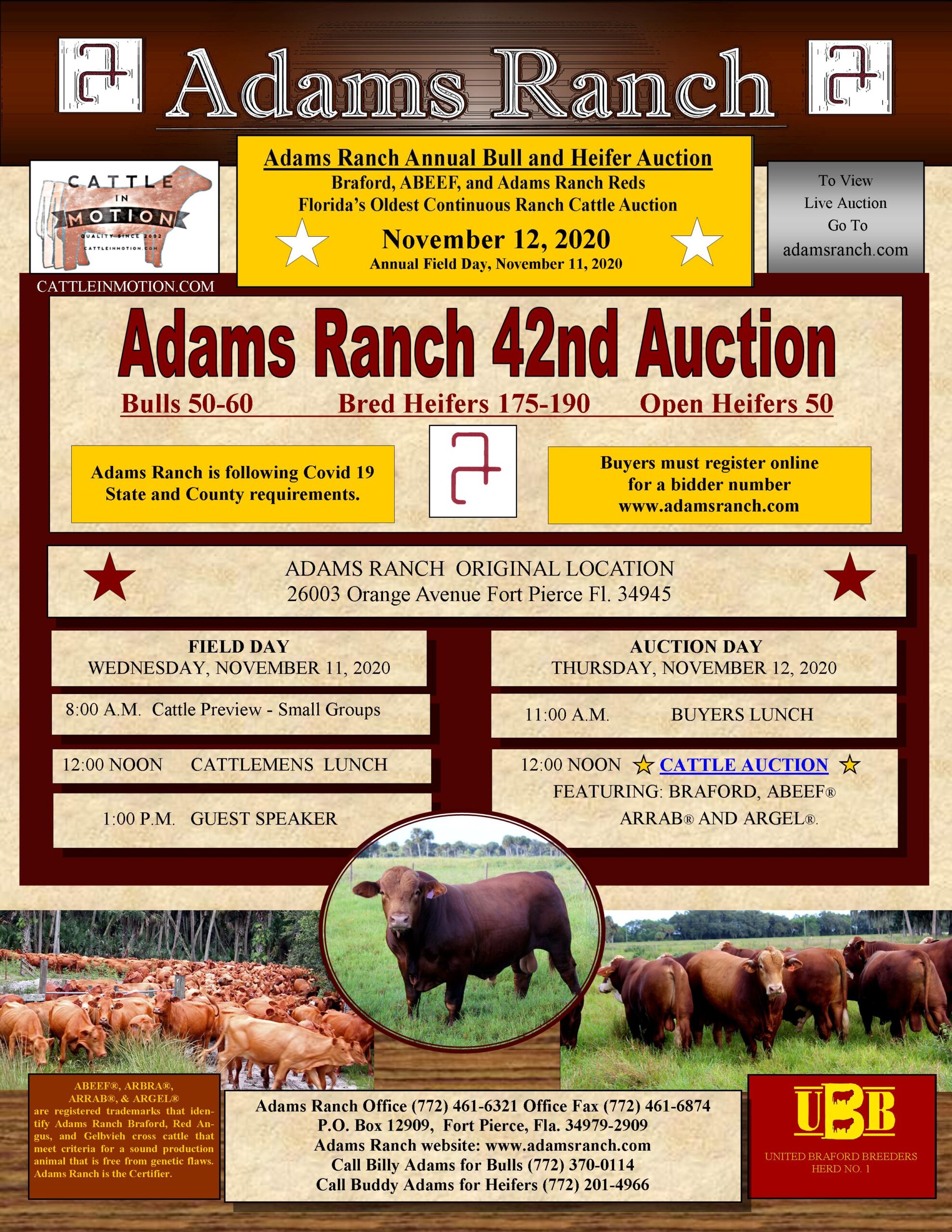 Annual Auction Adams Ranch